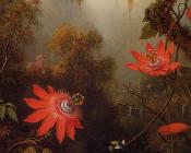 Two Hummingbirds Perched on Passion Flower Vines - 马丁·约翰逊·赫德